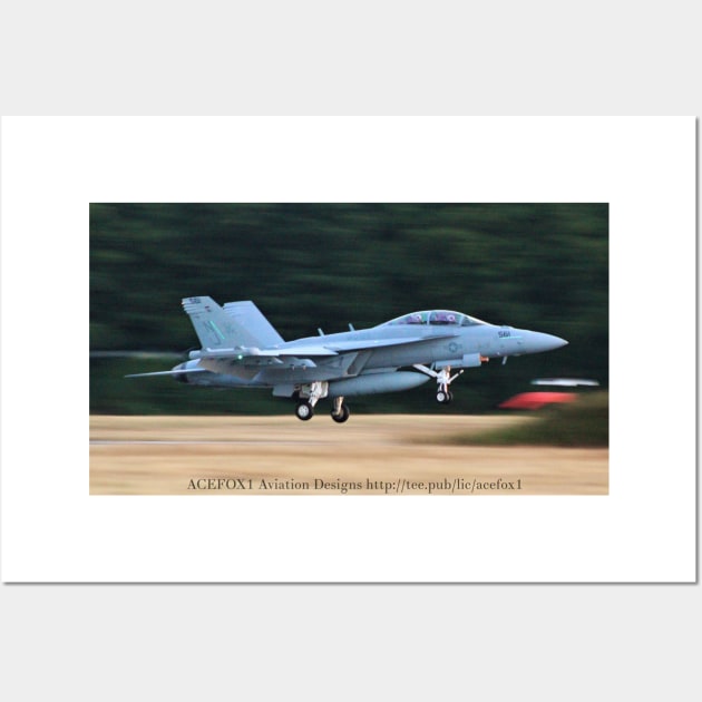 EA-18G Growler Super Hornet 10 Wall Art by acefox1